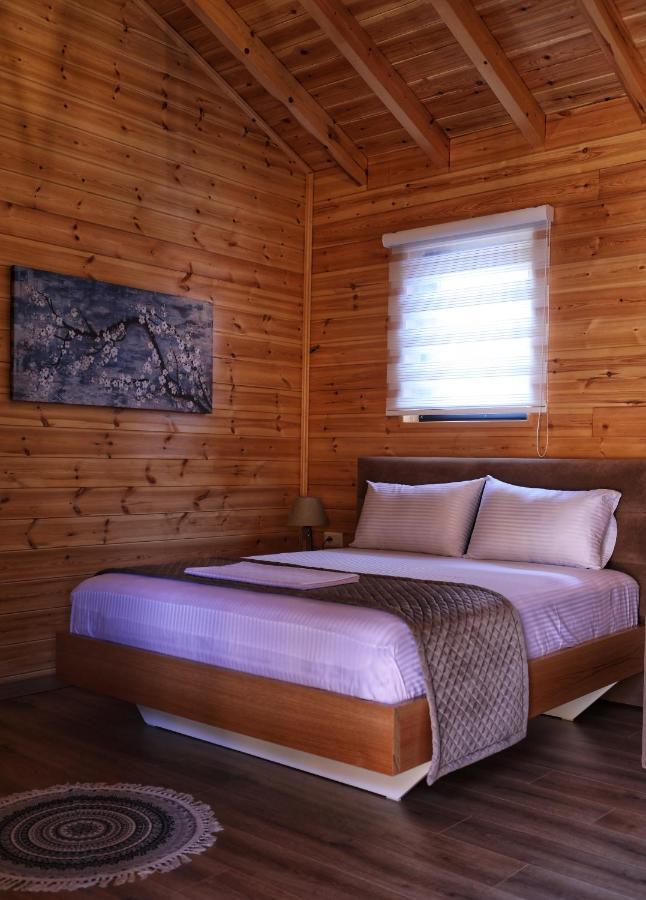 Bujtina Siar Hotel Pogradec Kültér fotó
