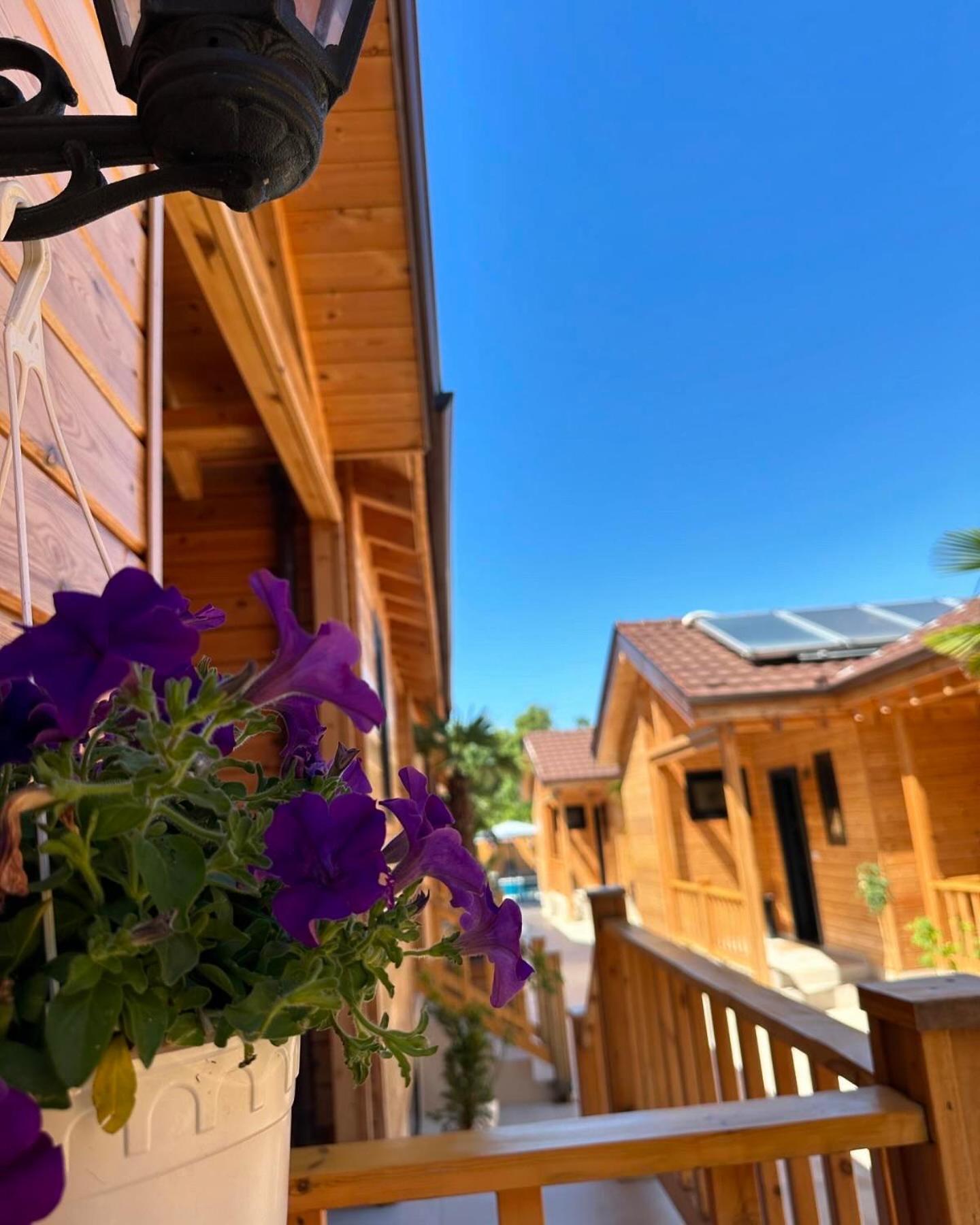Bujtina Siar Hotel Pogradec Kültér fotó