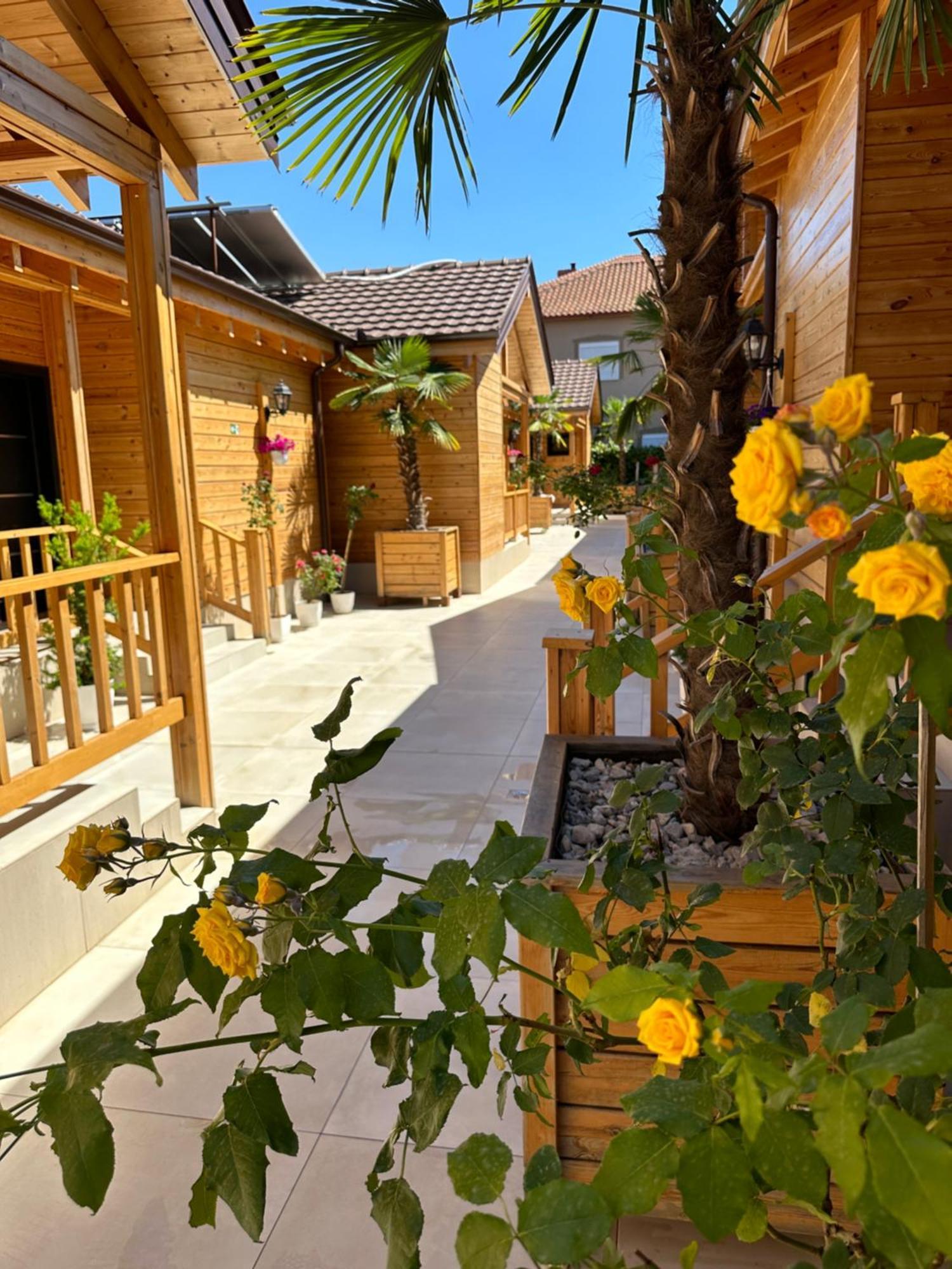 Bujtina Siar Hotel Pogradec Kültér fotó